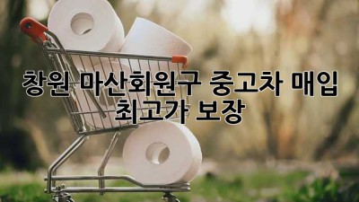 창원 마산회원구 중고차 매입, 최고가 보장!