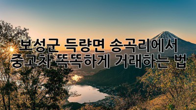 보성군 득량면 송곡리에서 중고차 똑똑하게 거래하는 법 🚗
